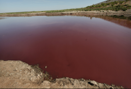 contaminated water in america not blood dirt.png